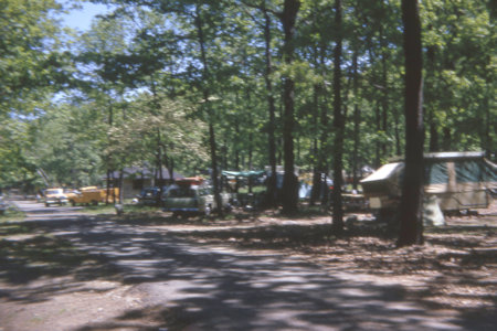 State Park Image